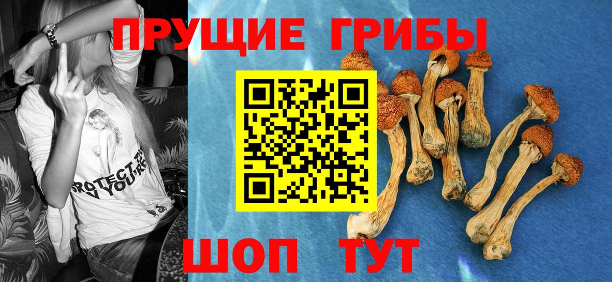 Галлюциногенные грибы ЛСД Озёрск