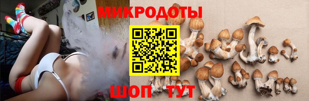 Псилоцибиновые грибы Cubensis  Вход с VPN  Галлюциногенные грибы MAGIC MUSHROOMS  Озёрск 